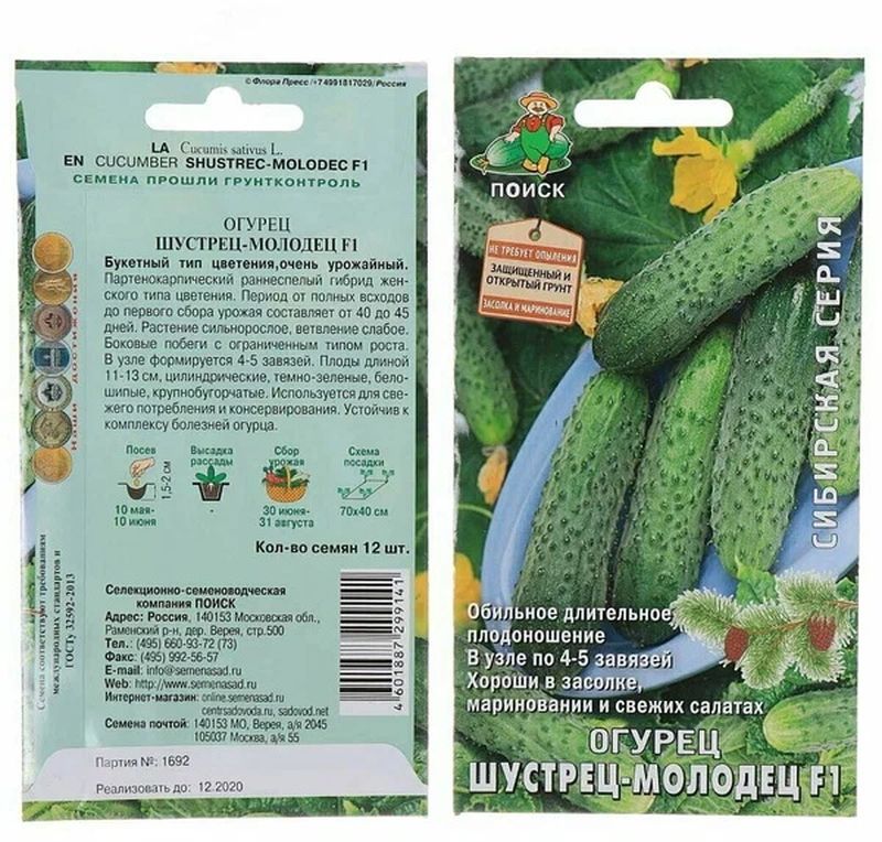 Огурец ШУСТРЕЦ- МОЛОДЕЦ F1 12шт. (Поиск)