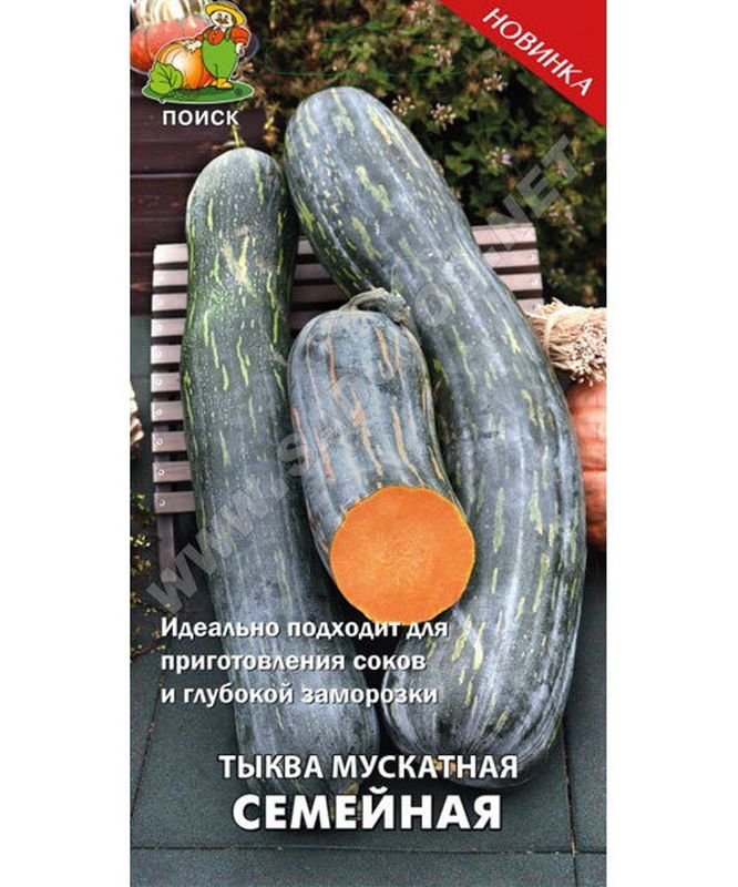 Тыква СЕМЕЙНАЯ мускатная 5шт. (Поиск)