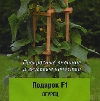 Огурец ПОДАРОК F1 5шт. (Поиск)