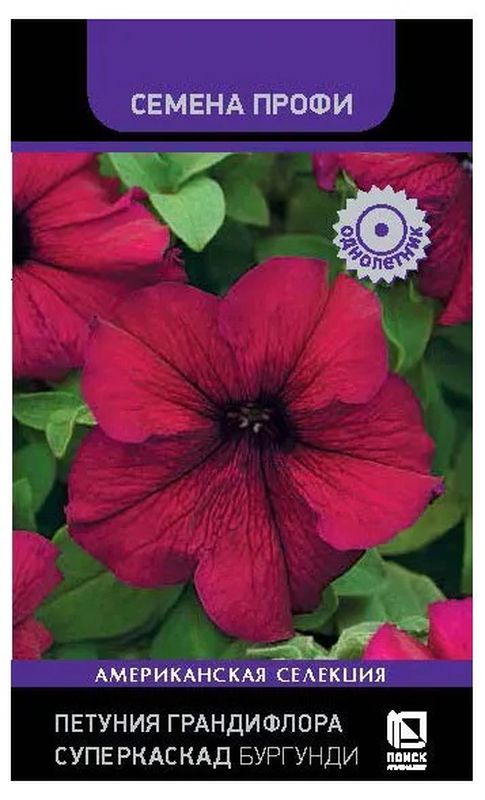 Петуния грандифлора СУПЕРКАСКАД БУРГУНДИ 10 шт. (Поиск)