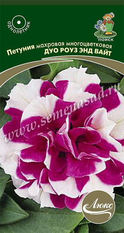 Петуния махровая многоцветковая ДУО РОУЗ ЭНД ВАЙТ 10шт (Поиск)