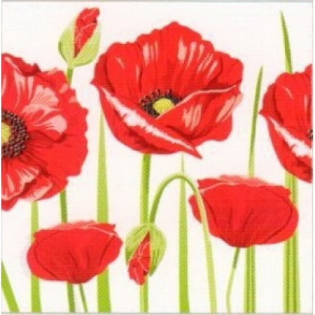 Салфетки бумажные 1сл. Design 30263 (25*25см.) 40шт. "Красные маки" РБ Салфетки бумажные 1сл. Design 30263 (25*25см.) 40шт. "Красные маки" РБ