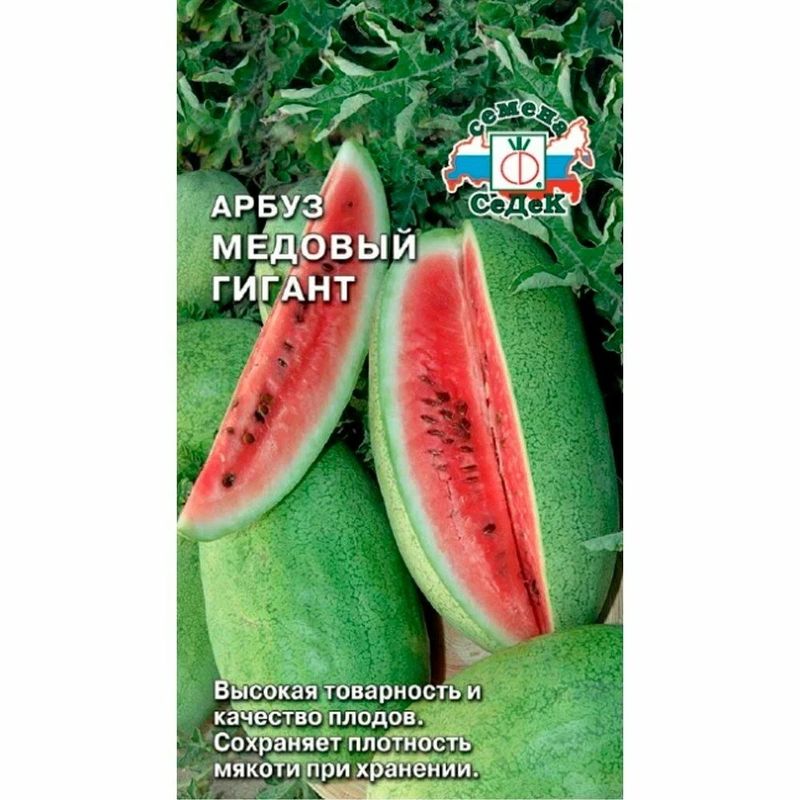 Арбуз МЕДОВЫЙ ГИГАНТ 1,0г. (СеДек)