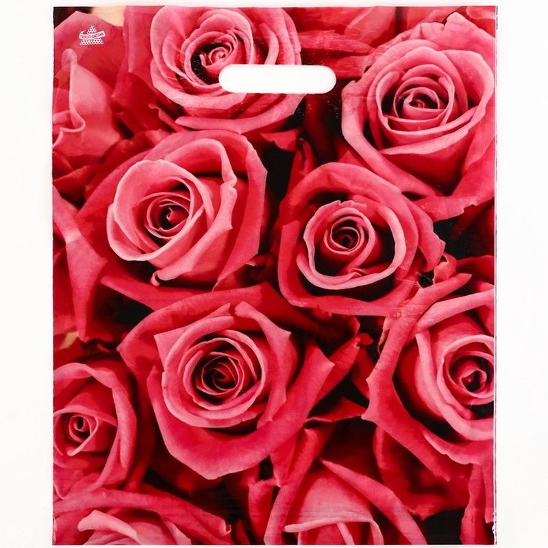 Пакет (вырубная руч.) 400*310мм. Джейми 292235 Т-П