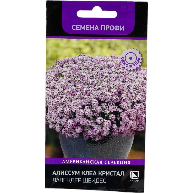 Алиссум КЛЕА КРИСТАЛ ЛАВЕНДЕР ШЕЙДЕС 20шт. (Поиск)