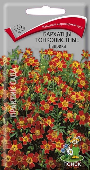 Бархатцы тонколистные ПАПРИКА 0,1гр. (Поиск)