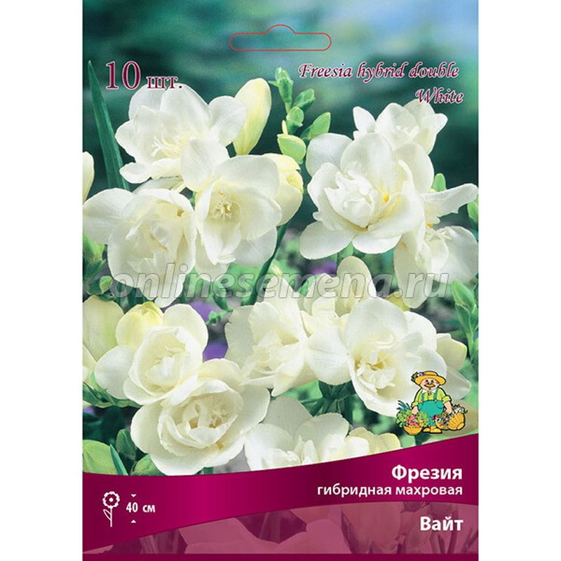 Фрезия гибридная махровая ВАЙТ 10шт. Поиск