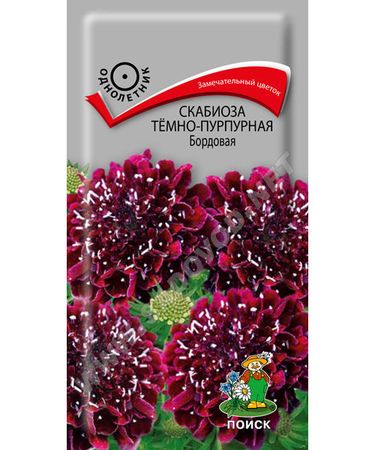 Скабиоза темно-пурпурная БОРДОВАЯ 0,2гр (Поиск)