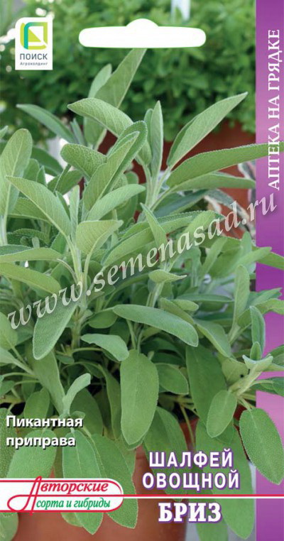 Шалфей БРИЗ овощной 0,5гр. (Поиск)