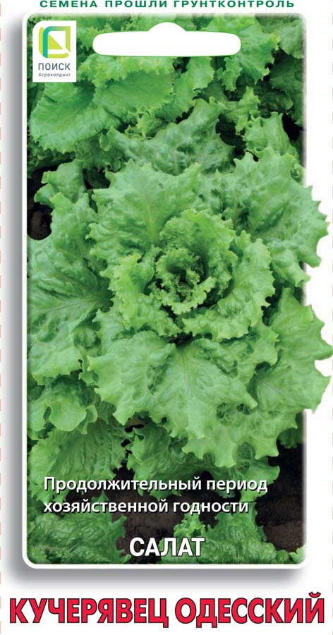 Салат КУЧЕРЯВЕЦ ОДЕССКИЙ 1,0гр. (Семетра) (Поиск)