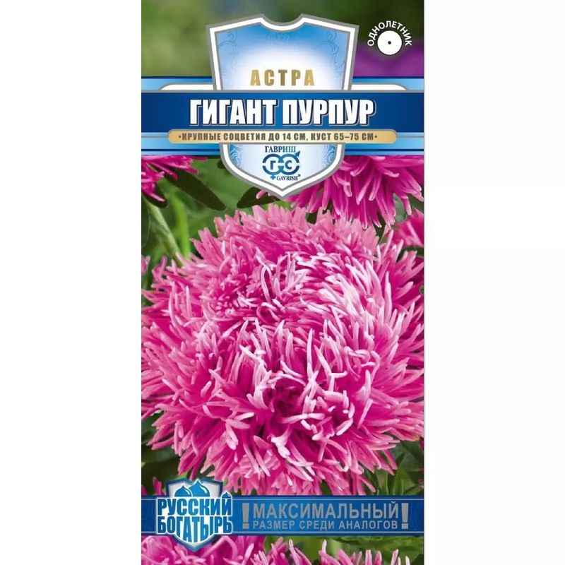 Астра ГИГАНТ пурпур (игольчато-коготковая) 0,05гр. (Гавриш)