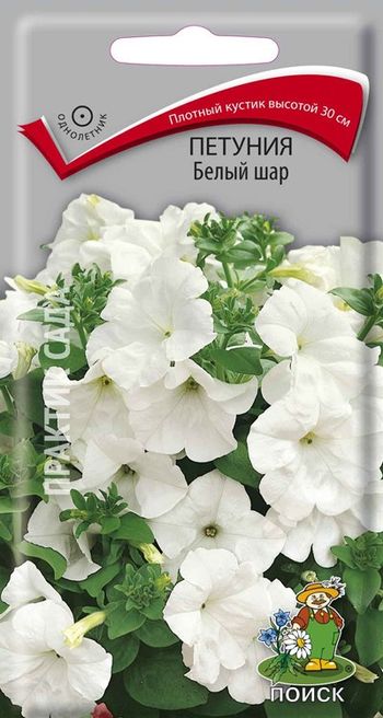 Петуния БЕЛЫЙ ШАР 0,1гр. (Поиск)