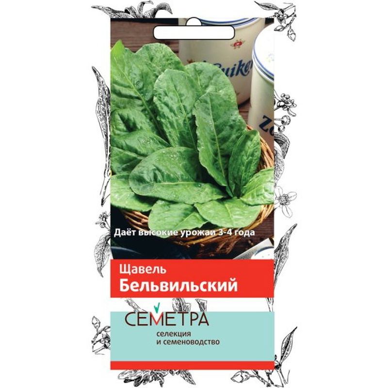 Щавель БЕЛЬВИЛЬСКИЙ 1,0гр. (Семетра) (Поиск)