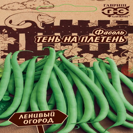Фасоль ТЕНЬ НА ПЛЕТЕНЬ, вьющаяся, зеленая 5,0гр. (Гавриш)