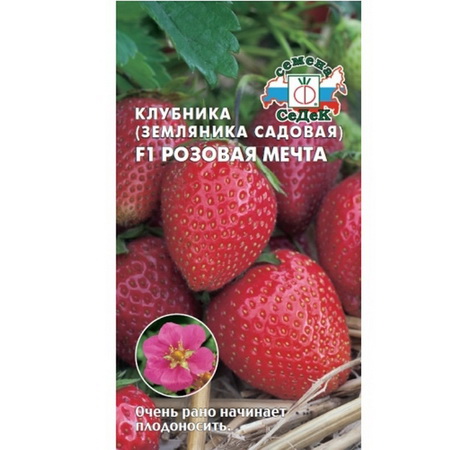 Земляника РОЗОВАЯ МЕЧТА F1 (ремонтантная, крупноплодная) 0,01гр. (СеДек)