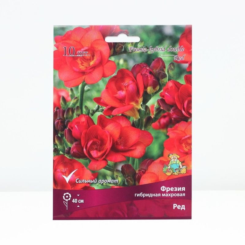 Фрезия гибридная махровая РЕД 10шт. Поиск