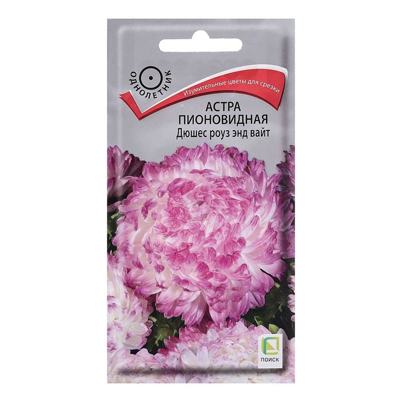 Астра Пионовидная ДЮШЕС роуз энд вайт 0,3гр. (Поиск)