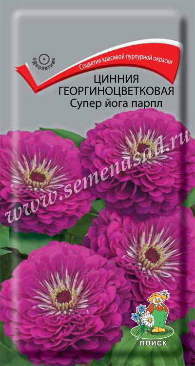 Цинния георгиноцветковая СУПЕР ЙОГА парпл 0,4гр. (Поиск)
