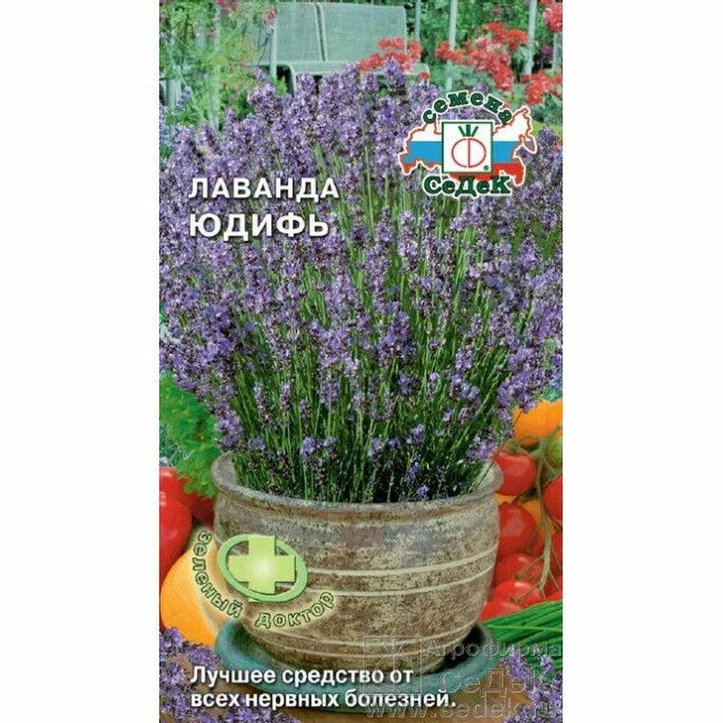 Лаванда ЮДИФЬ (пряность) 0,05г. (СеДек)