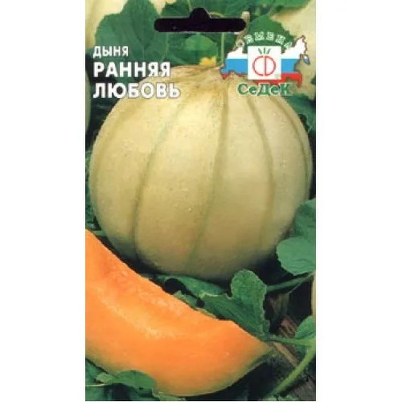 Дыня РАННЯЯ ЛЮБОВЬ 0,5г. (СеДек)