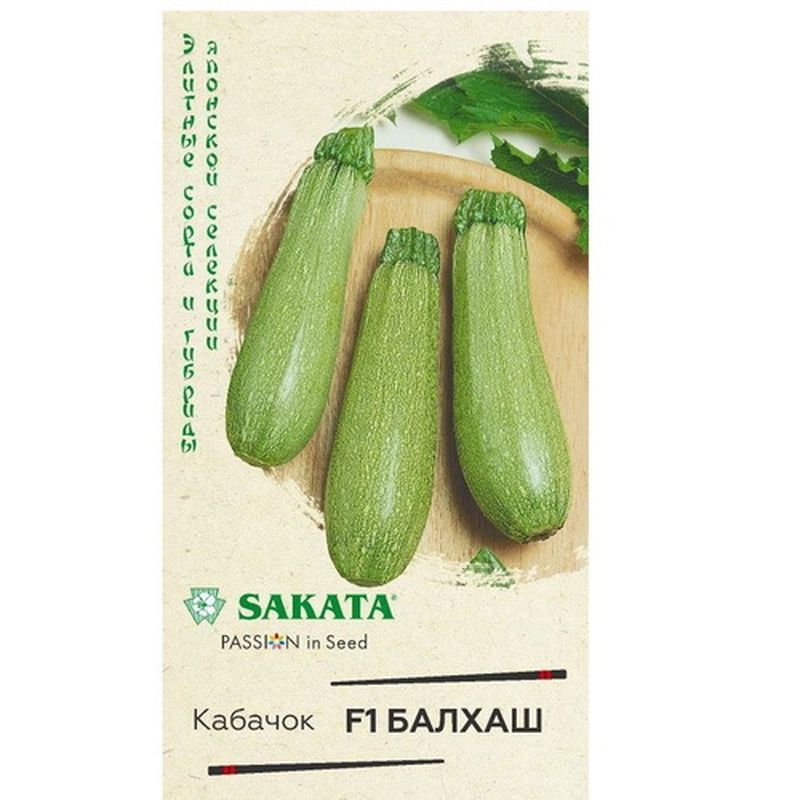 Кабачок БАЛХАШ F1 5шт. (Гавриш)