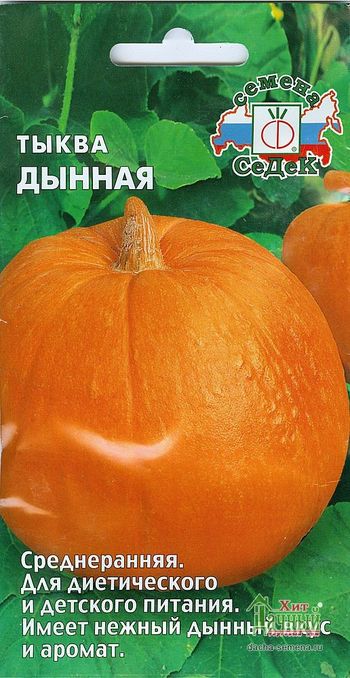 Тыква ДЫННАЯ 1,0г. (СеДек)
