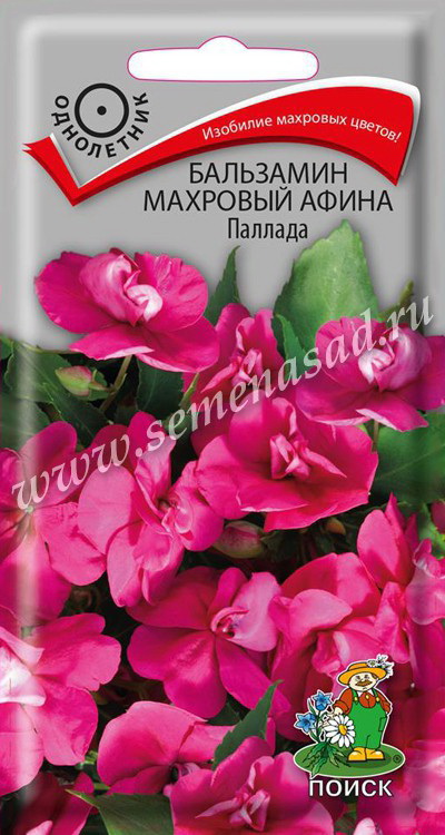 Бальзамин махровый АФИНА  ПАЛЛАДА 5шт. (Поиск)