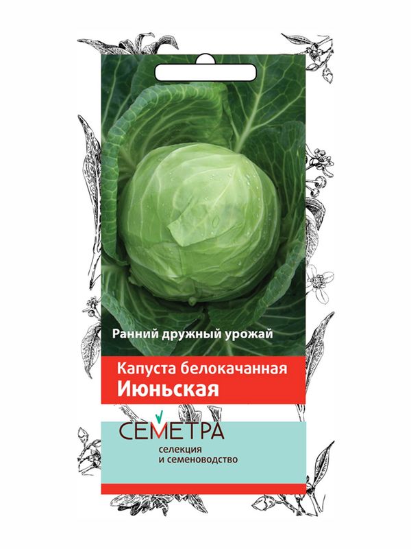 Капуста белокоч. ИЮНЬСКАЯ 0,5гр. (Семетра) (Поиск)