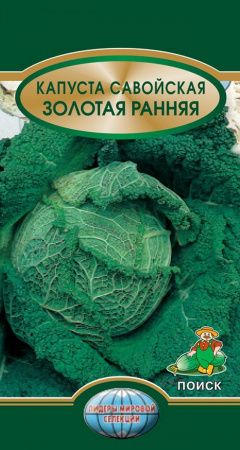 Капуста савойская ЗОЛОТАЯ ранняя 0,5гр. (Поиск)