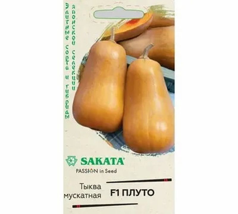 Тыква ПЛУТО, мускатная F1 3шт. (Гавриш)