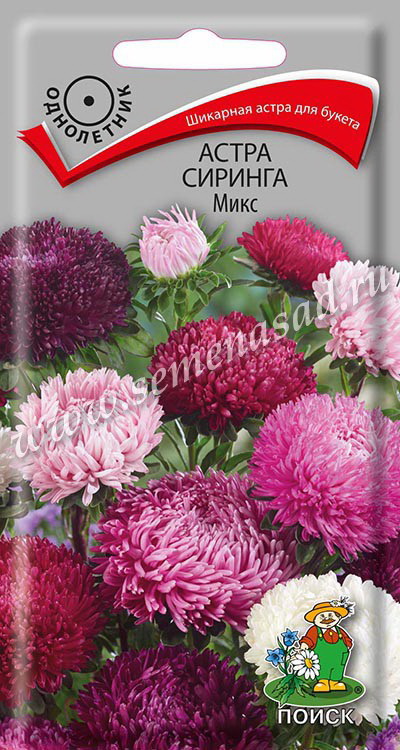 Астра СИРИНГА МИКС 0,2гр. (Поиск)