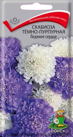 Скабиоза темно-пурпурная ЛЕДЯНОЕ СЕРДЦЕ  10шт. (Поиск)