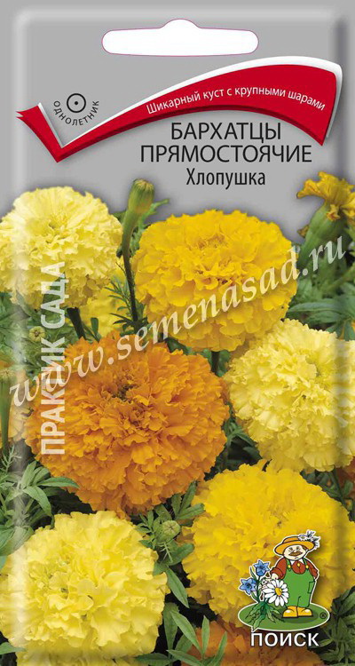 Бархатцы прямостоячие ХЛОПУШКА 0,4гр. (Поиск)