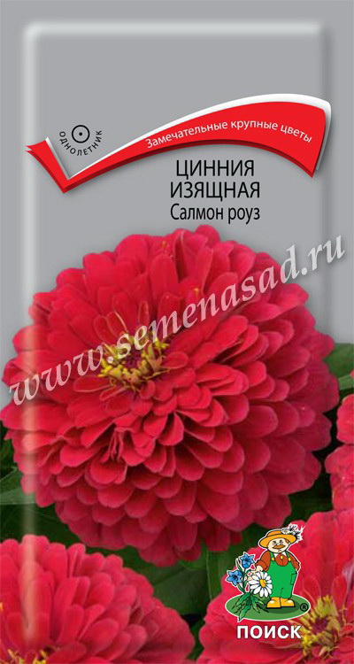 Цинния изящная САЛМОН РОУЗ 0,4гр. (Поиск)