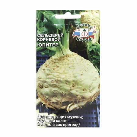 Сельдерей ЯБЛОЧНЫЙ (корневой) 0,5гр. (СеДек)