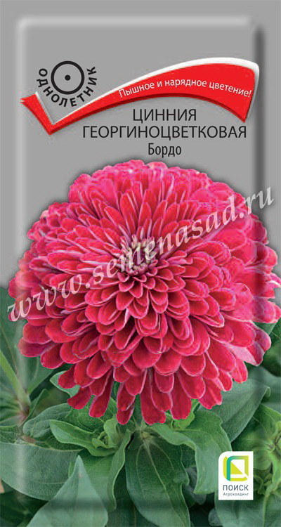 Цинния георгиноцветковая БОРДО 0,4гр. (Поиск)