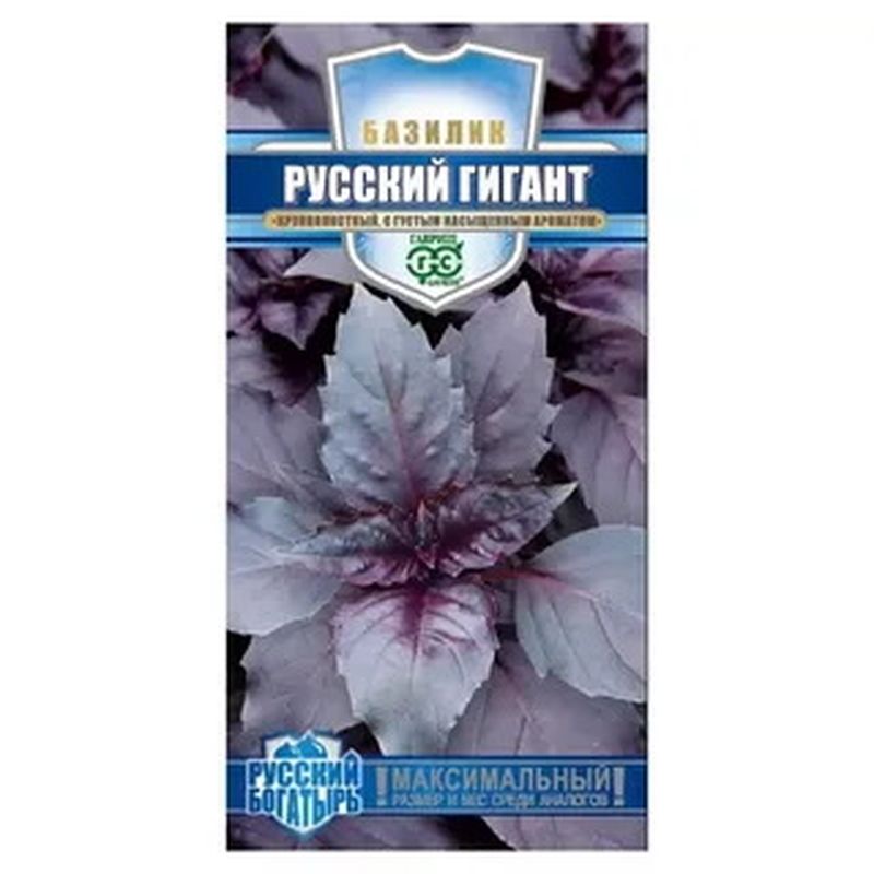 Базилик РУССКИЙ ГИГАНТ, фиолетовый 0,1г. (Гавриш)