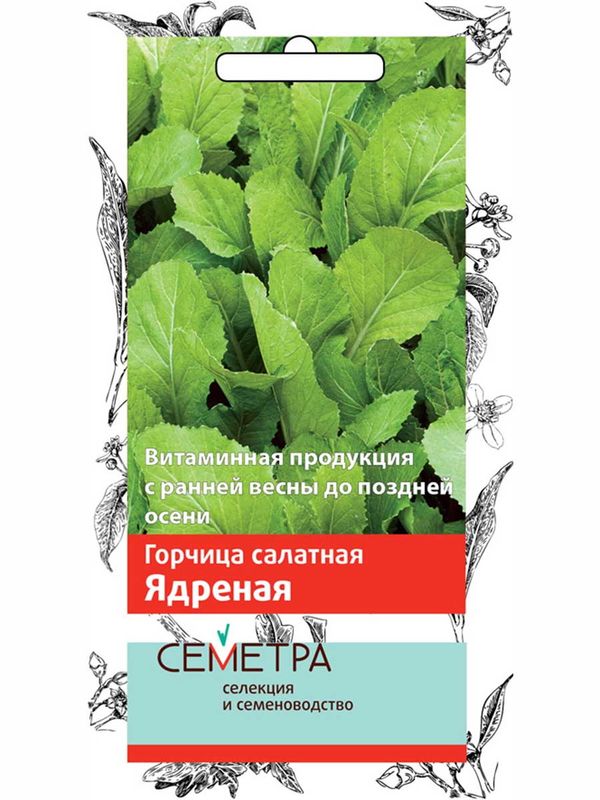 Горчица ЯДРЁНАЯ (салатная) 1,0гр. (Семетра) (Поиск)