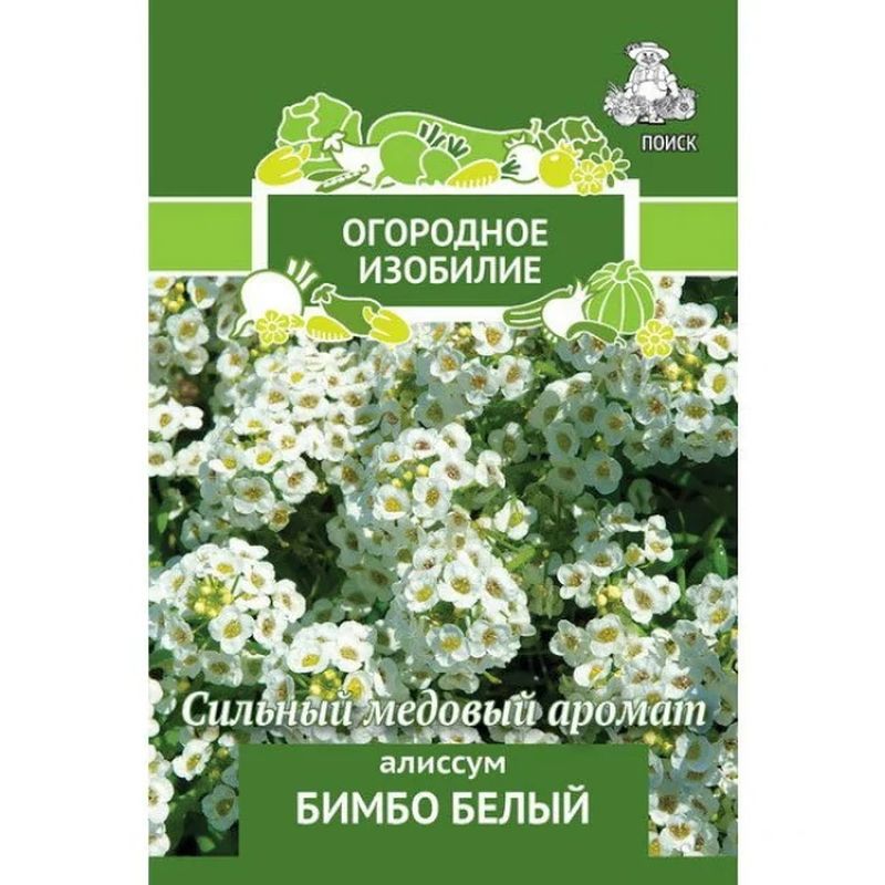 Алиссум БИМБО белый 0,3гр. (Огородное изобилие) (Поиск)