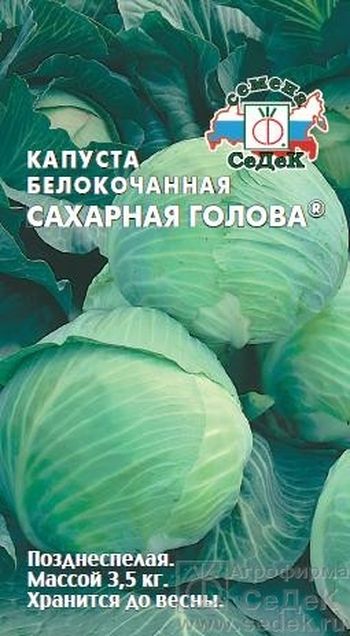 Капуста белокоч. САХАРНАЯ ГОЛОВА 0,5гр. (СеДек)
