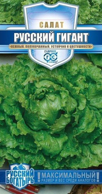 Салат РУССКИЙ БОГАТЫРЬ (гигант) 0,5гр. Н13 (Гавриш)