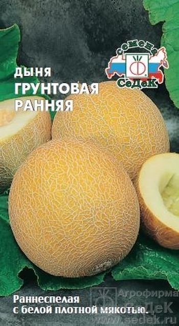 Дыня ГРУНТОВАЯ ранняя 0,5гр. (СеДек)