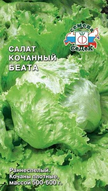 Салат БЕАТА (айсберг) 0,5гр. (СеДек)