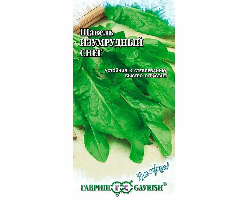 Щавель ИЗУМРУДНЫЙ СНЕГ 0,5г. (Гавриш)