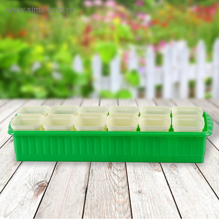 Набор д/рассады "Дом и Дача" (12стаканчиков*250мл.) 470*166*90 Ижевск