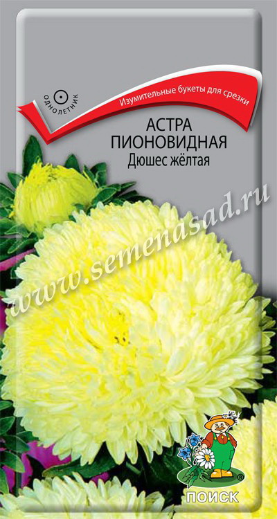 Астра Пионовидная ДЮШЕС желтая 0,3гр. (Поиск)