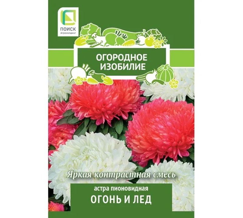 Астра Пионовидная ОГОНЬ И ЛЕД 0,3гр. (Огородное изобилие) (Поиск)