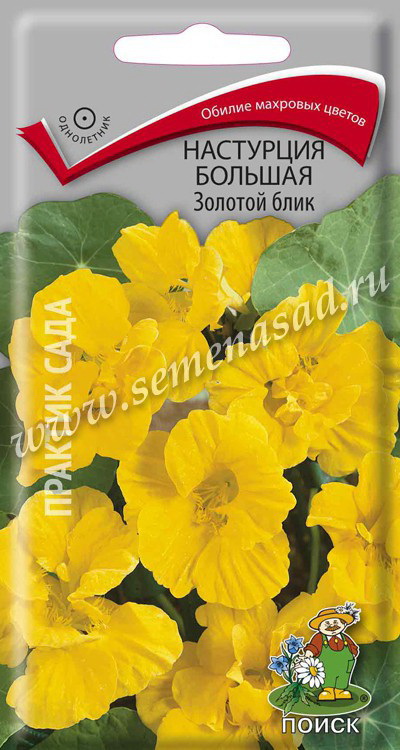 Настурция большая ЗОЛОТОЙ БЛИК 1,0гр. (Поиск)