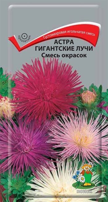 Астра ГИГАНТСКИЕ ЛУЧИ Смесь окрасок 0,3гр. (Поиск)