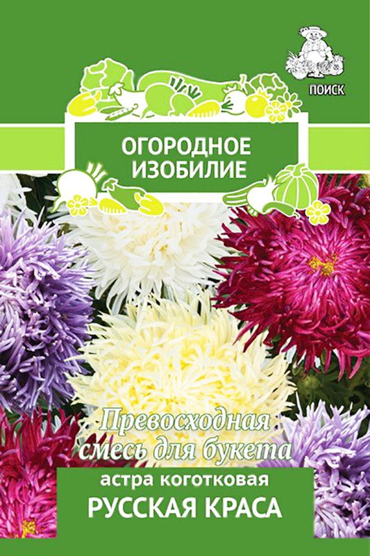 Астра Коготковая РУССКАЯ КРАСА 0,3гр. (Огородное изобилие) (Поиск)